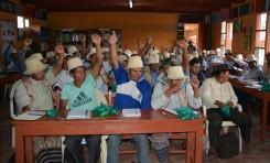 ¿Por qué acceder a la autonomía indígena?