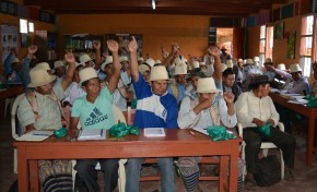 ¿Por qué acceder a la autonomía indígena?