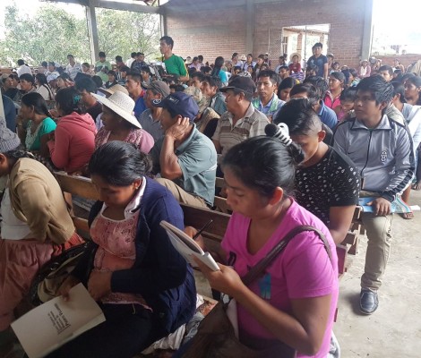 WhatsApp Image 2017-05-20 at 15.43.32