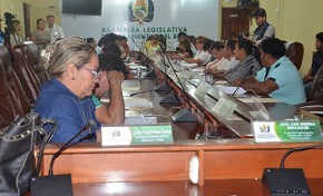 Asamblea Legislativa de Beni remitió a Diputados las ternas de postulantes al Tribunal Electoral Departamental
