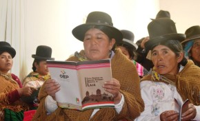 Laja recibe 9 mil ejemplares de su proyecto de Carta Orgánica