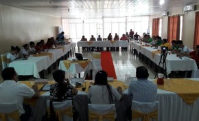 Pando: Plantean que promotores comunitarios difundan méritos en áreas rurales