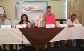 Beni: Plantean otorgar tiempos para considerar a simpatizantes como militantes de organizaciones políticas