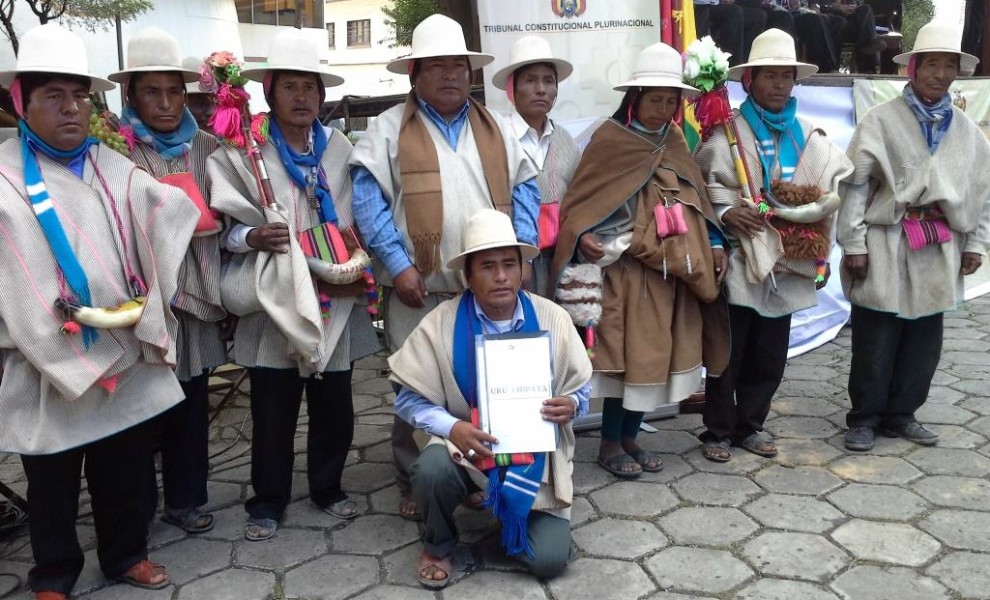 9.declaracion constitucional plena