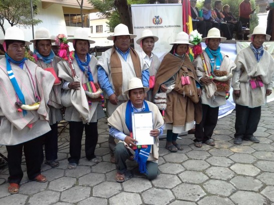 9.declaracion constitucional plena