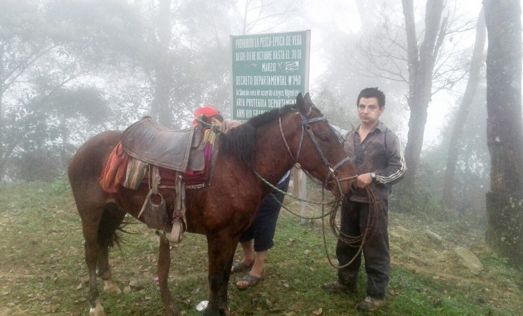 WhatsApp Image 2017-07-09 at 15.06.04