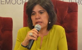 TSE: Uriona "las primarias son viables pero no obligatorias para las Organizaciones Políticas"