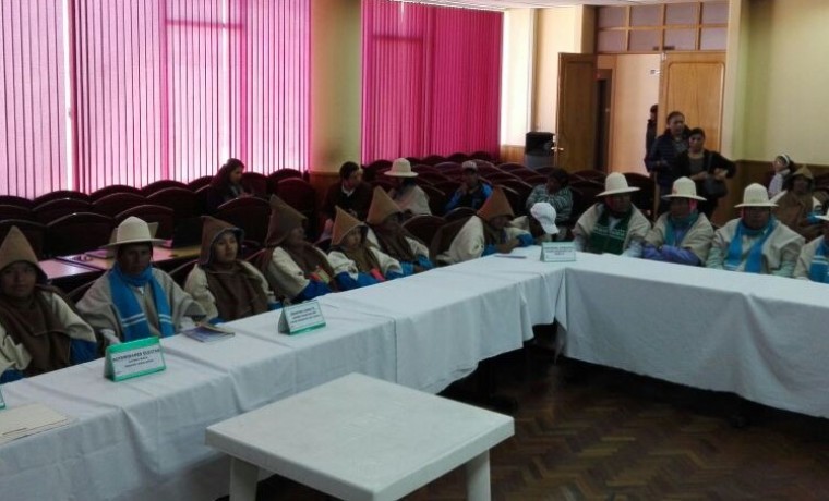 mesatecnicachipaya_061017_2