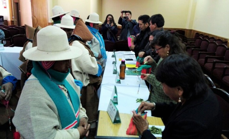 mesatecnicachipaya_061017_3