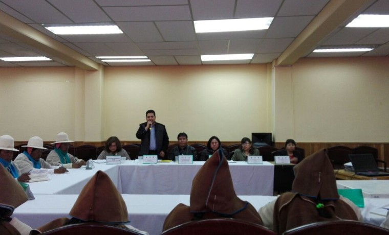 mesatecnicachipaya_061017_4