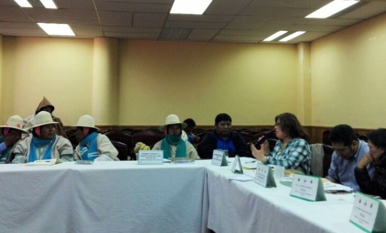 mesatecnicachipaya_061017_8