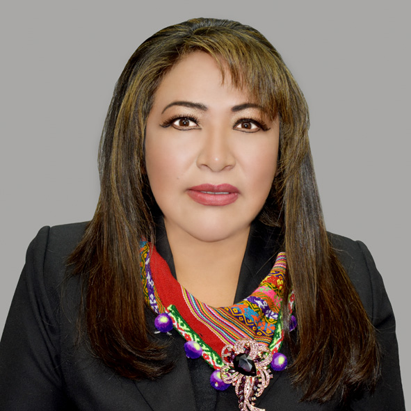 1.vargas_baranado_brigida_celia_tcp_lp