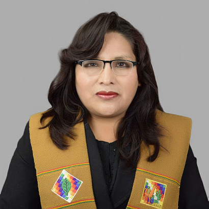 2.virginia_colque_calle