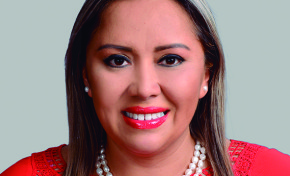 Joyce Choquerive plantea crear el Defensor del Litigante