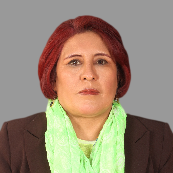 3.mamani_roldan_eve_carmen_tcp_or