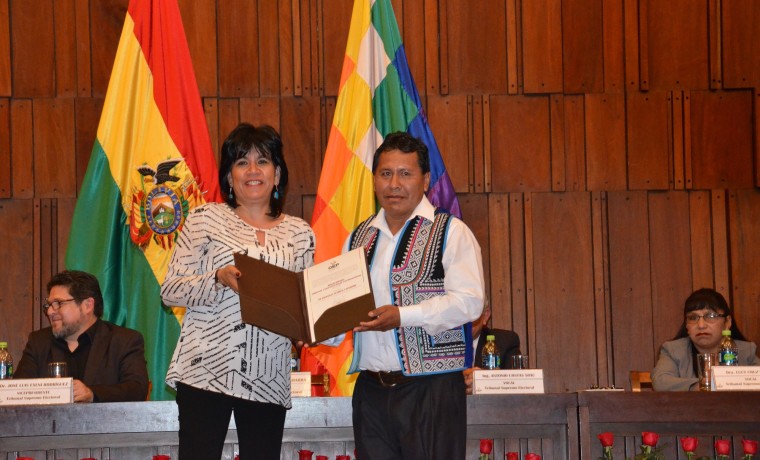 5. Potosí_Petronilo Flores Condori (titular)