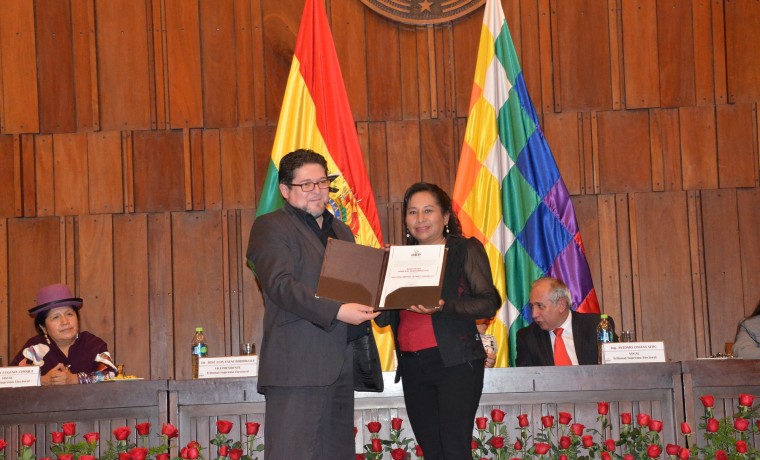 9. Soledad Mirtha Quiroz Gonzales (suplente)