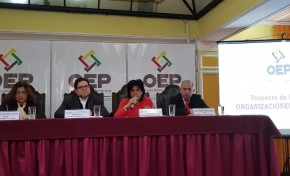 Conferencia: presentación del Proyecto de Ley de Organizaciones Políticas