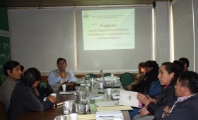 Proyecto de Ley de Organizaciones Políticas garantiza participación de las organizaciones indígenas en procesos electorales
