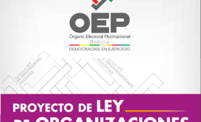 Luego de su consideración en Sala Plena, el TSE envía al Senado observaciones sobre el Proyecto de Ley de Organizaciones Políticas