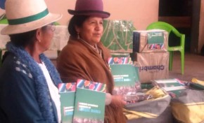 Oruro: Corque Marka recibió un lote de ejemplares de su estatuto autonómico indígena para la socialización
