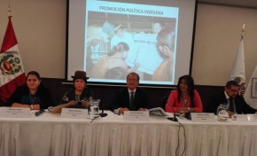Choque: “Debemos fortalecer la normativa referida a los derechos colectivos de las naciones y pueblos indígenas”