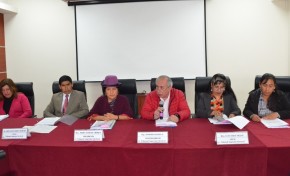 ¿Qué pasará si el TSE aprueba las solicitudes de alianzas políticas para las Elecciones Primarias 2019?