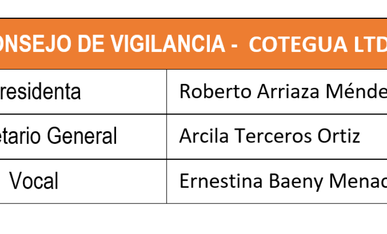 consejo_cotegua_151218_2