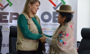 El TSE y la OEA firman el convenio para la observación en las Elecciones Primarias