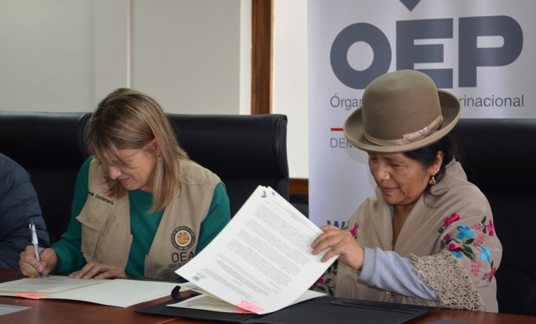 firmaoea_tse_primarias_210119_4