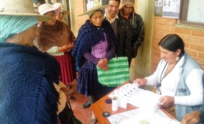 Resultados de la votación - Elecciones Primarias 2019