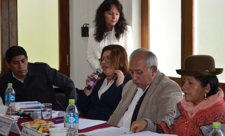 reunioncooperacion_ts_170119_1