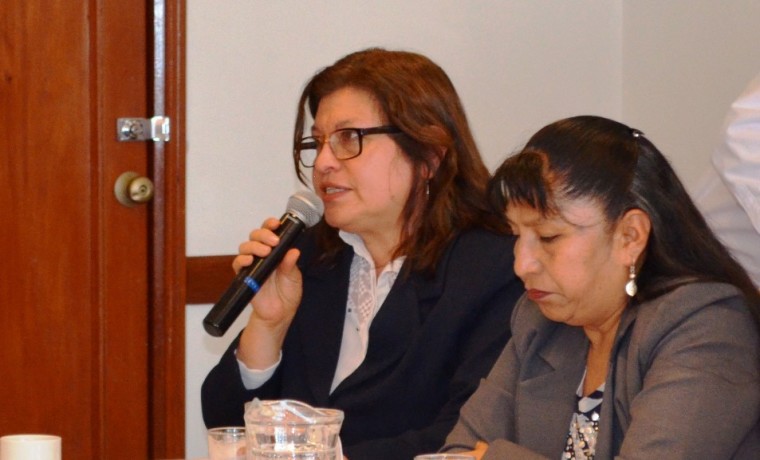 reuniones-observadores_primarias_250119_5