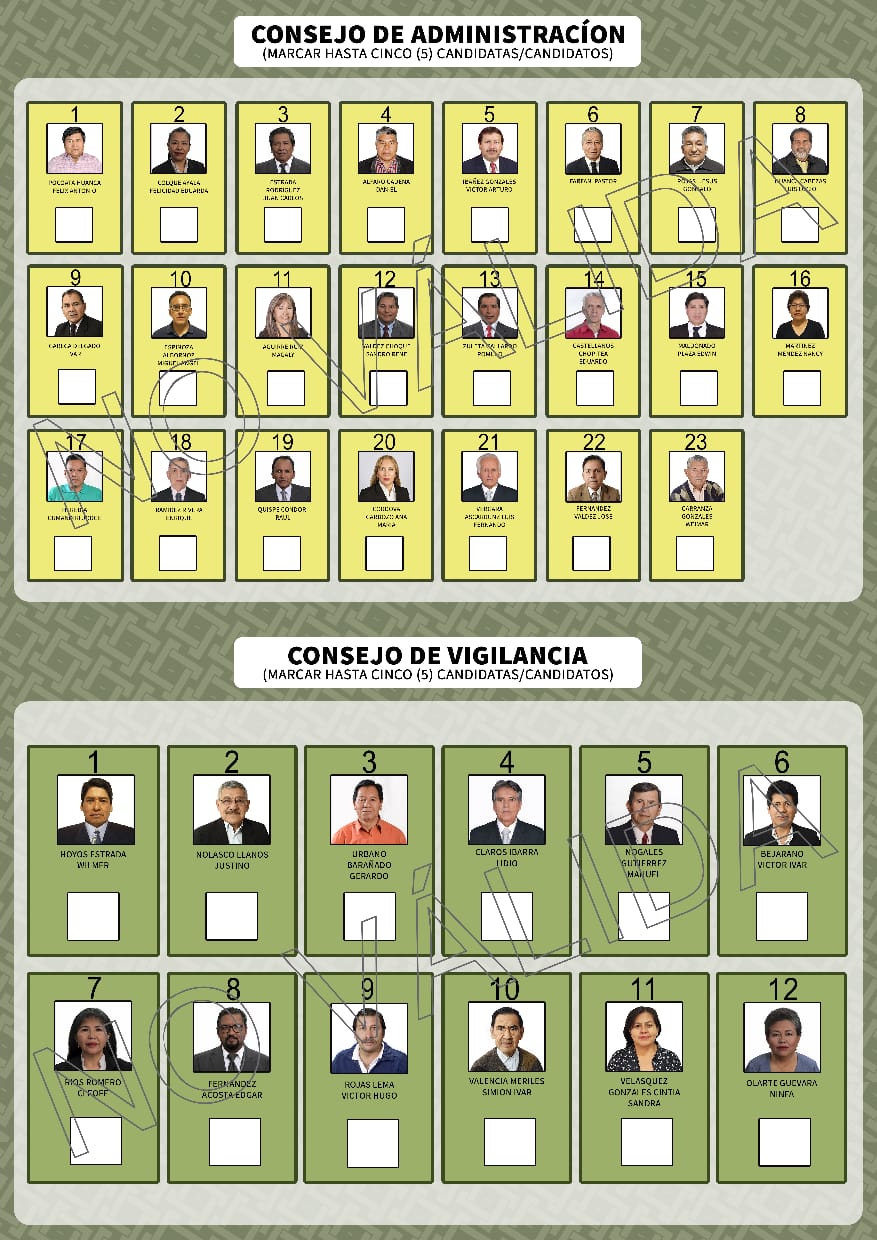 papeleta_cosaalt_100819