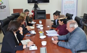 Elecciones Generales: el TSE se reúne con la misión de observación de la Unión Europea