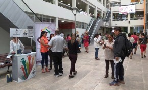 Elecciones Generales: habilitan puntos de información en Yacuiba, Villa Montes, Bermejo y Tarija