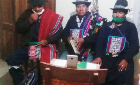 El seminario virtual Democracia Comunitaria y Autonomías Indígenas registra más de 950 participantes