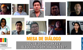 El TED Tarija y el PNUD efectúan una mesa de diálogo virtual con pueblos indígenas