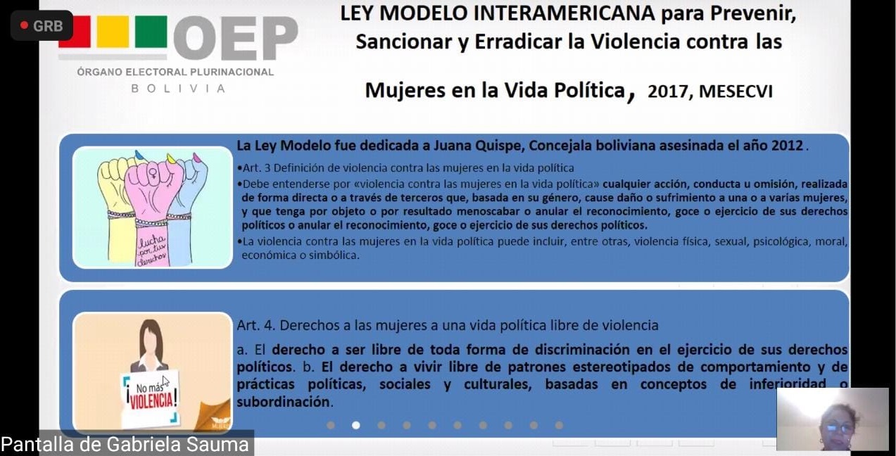 violebncia politica-potosi