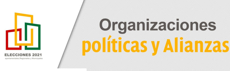 organizaiconespolíticas