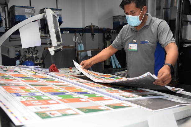 Papeletas electorales