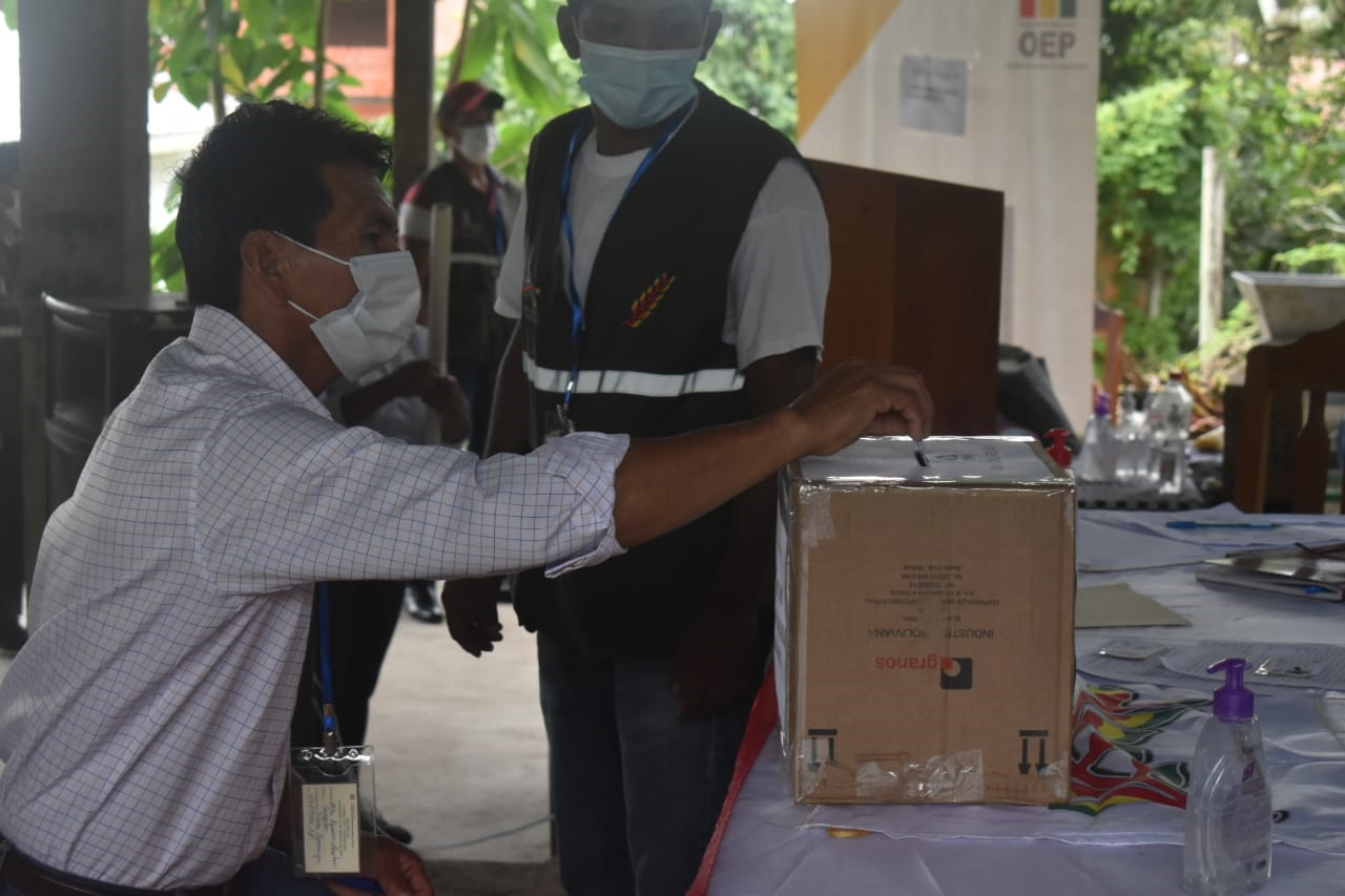 eleccionindigena-lp