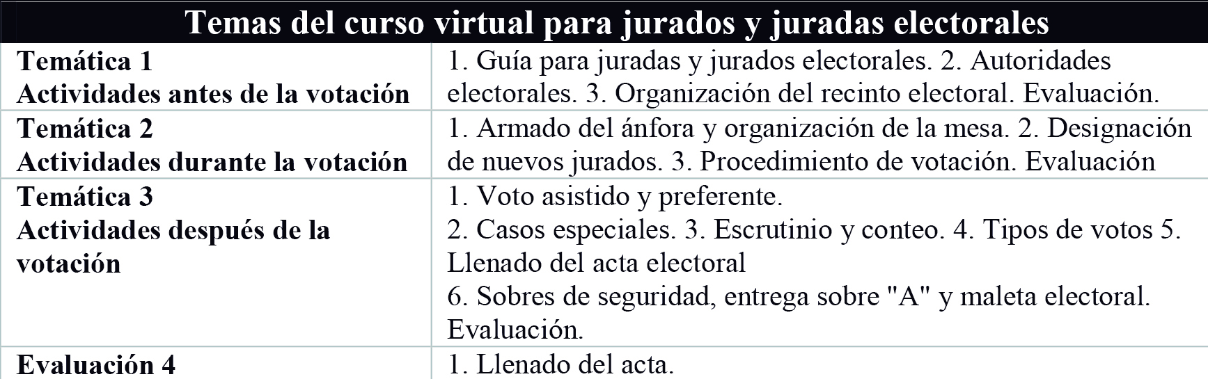 temascursovirtual-tse