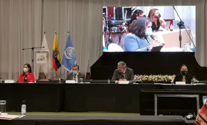 El OEP participa en foro internacional sobre el impacto de la pandemia y las noticias falsas en elecciones