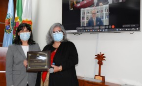 OEP otorga un reconocimiento a IDEA Internacional por su apoyo en la consolidación de la democracia intercultural