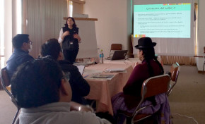 El PNUD y el OEP desarrollan el curso de facilitadores en metodología BRIDGE