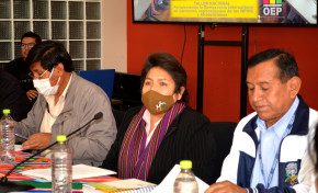 Fortalecen currículos regionalizados sobre democracia intercultural para las NPIOCs y afrobolivianos con saberes y conocimientos propios