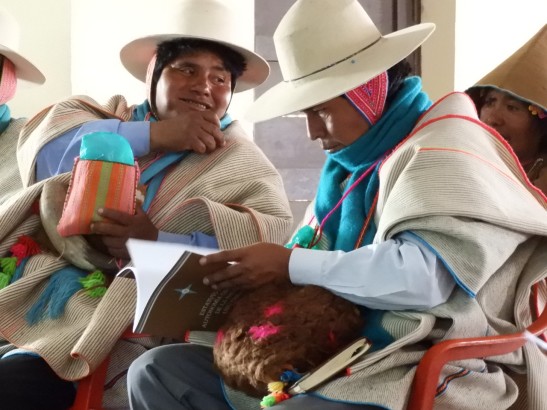 ELECCIÓN URU CHIPAYA 2