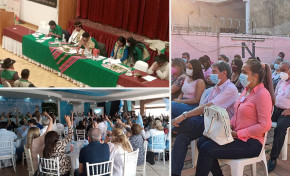 La adecuación de sus estatutos orgánicos a la Ley 1096 de las organizaciones políticas debe aprobarse en su máxima instancia interna