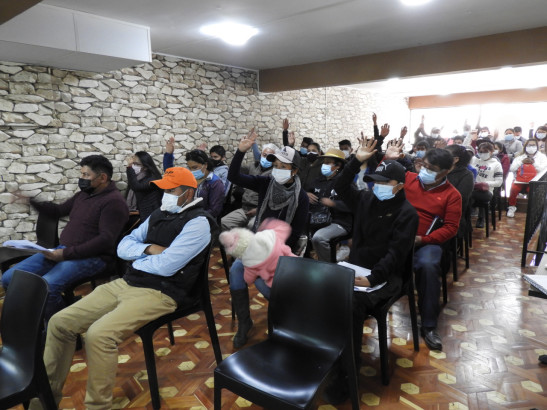 organizaciones políticas